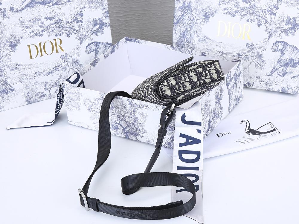 Designer Handbags dior 100
