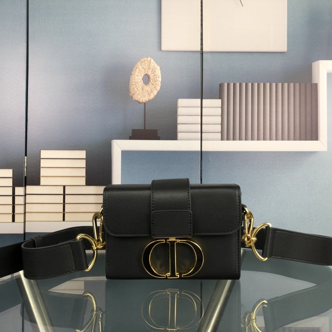 Luxury Handbags Christian Dior 244