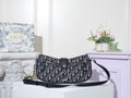 Designer Handbags dior 161