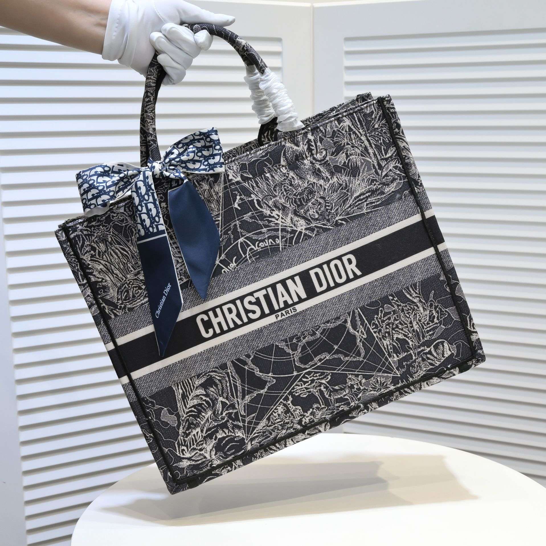 Designer Handbags dior 293