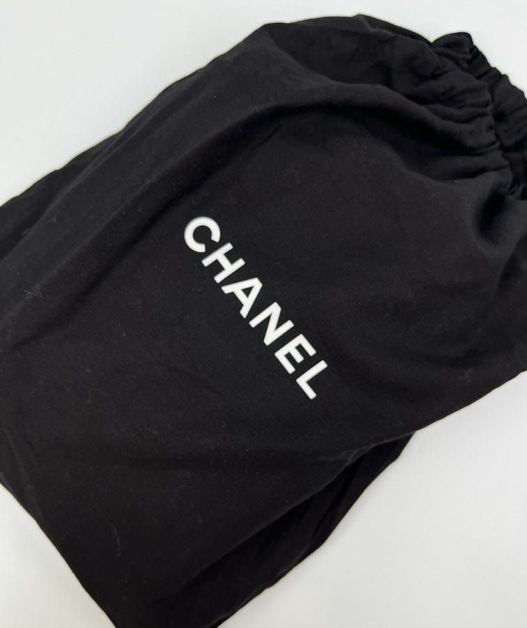 Vintage Chanel Camera Bag