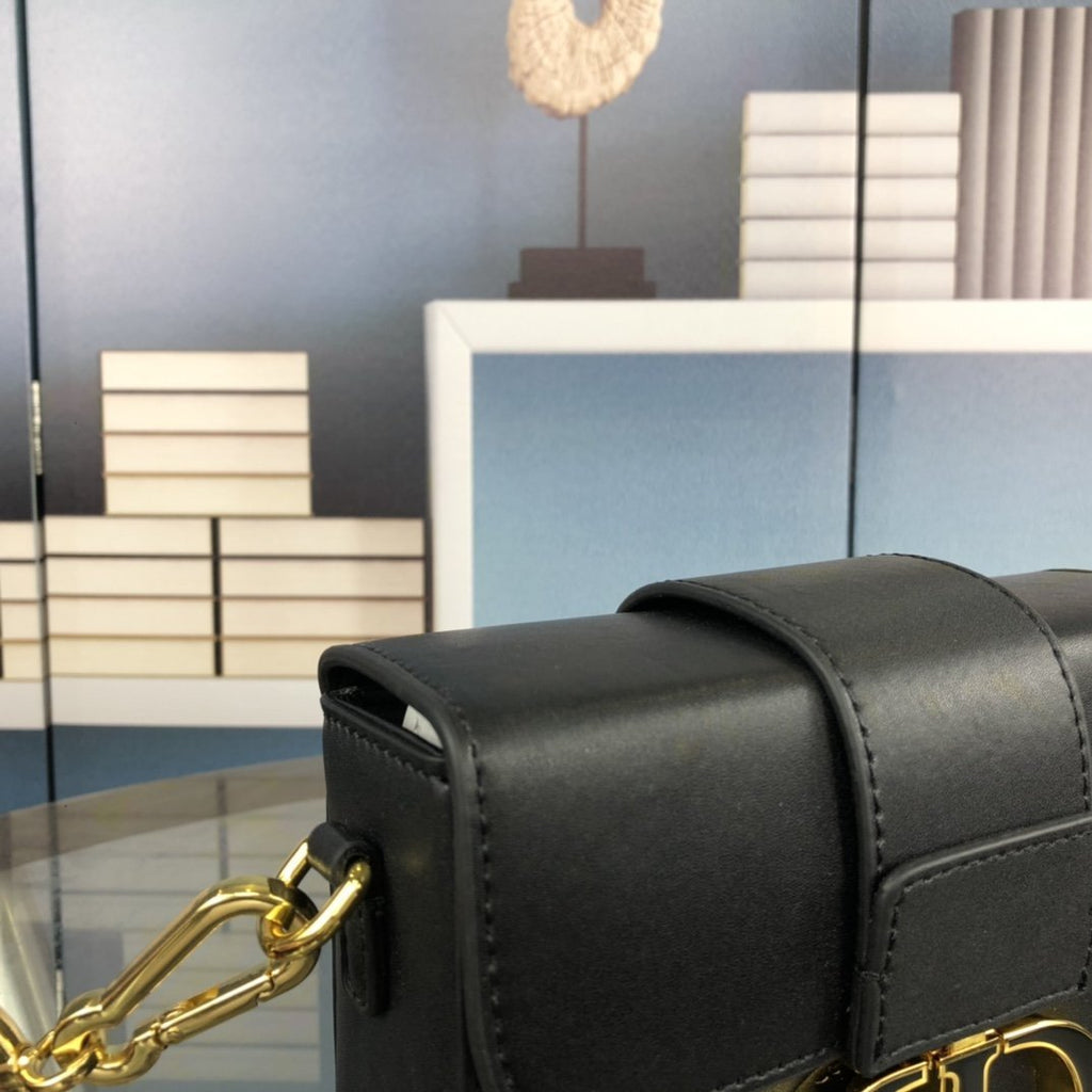 Luxury Handbags Christian Dior 244
