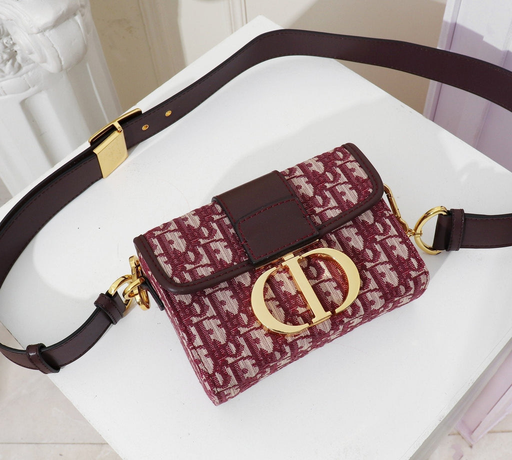 Luxury Handbags Christian Dior 174