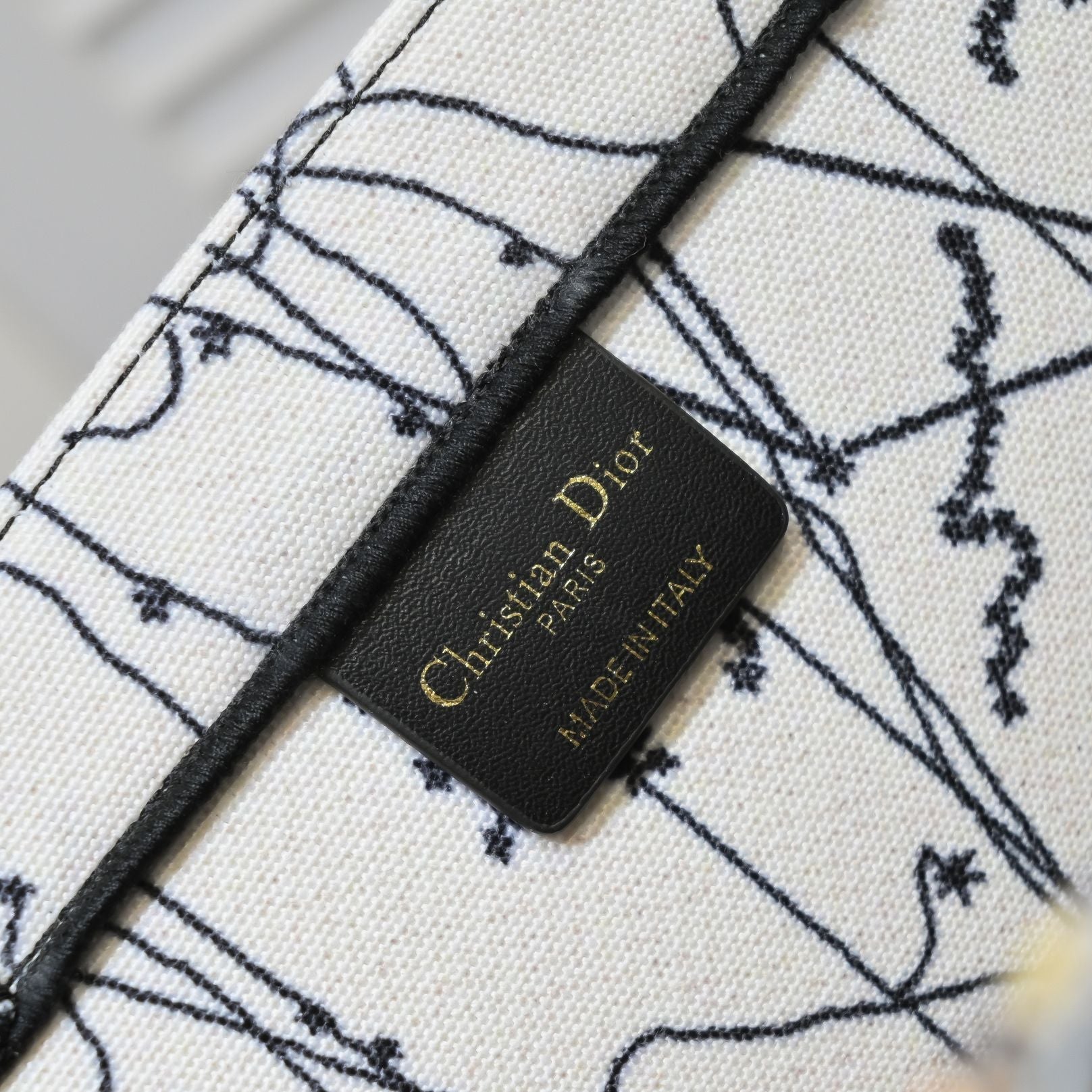 Luxury Handbags Christian Dior 295