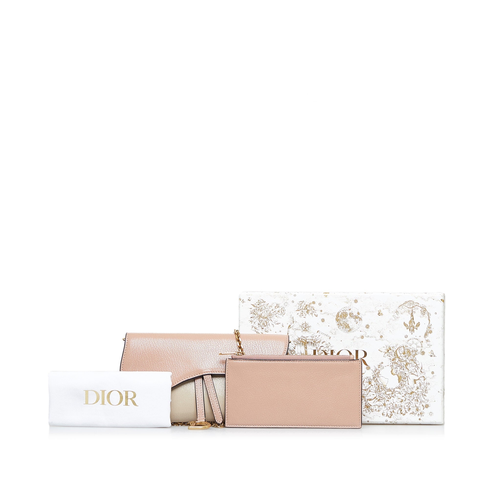 DIOR Saddle Wallet On Chain Crossbody Bag