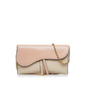 DIOR Saddle Wallet On Chain Crossbody Bag