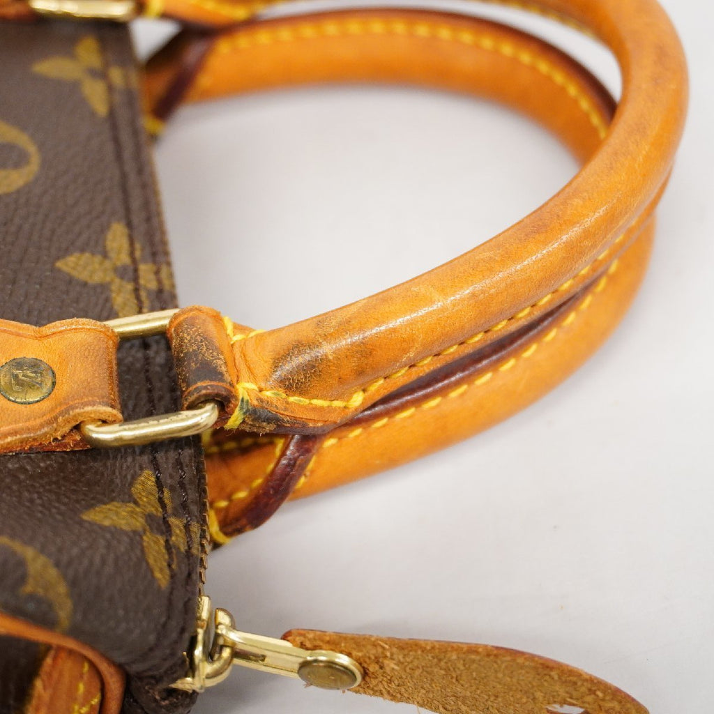 Louis Vuitton Mini Speedy Nano Handbag Monogram