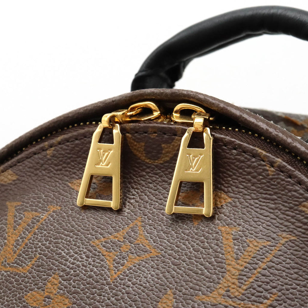 Louis Vuitton Monogram Palm Springs Backpack M41560 by Louis Vuitton