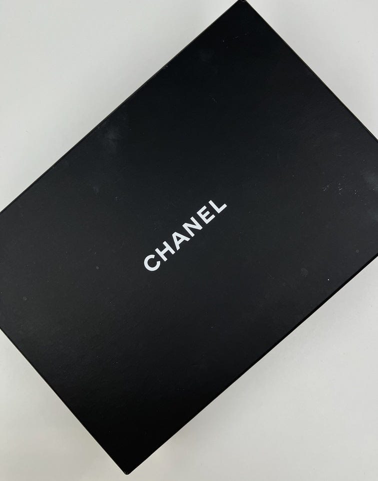 Vintage Chanel Camera Bag