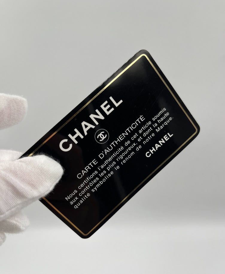 Vintage Chanel Camera Bag