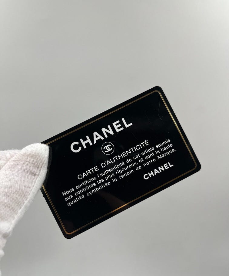 Chanel Chevron Quilted Coco Bag