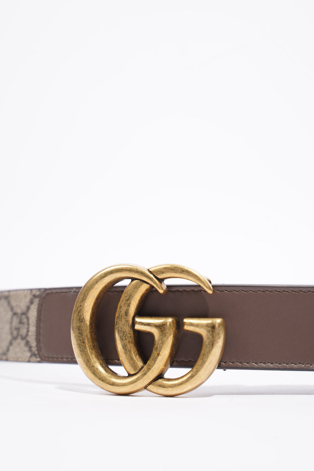 Gucci Marmont Belt Supreme Coated Canvas 80cm 32"