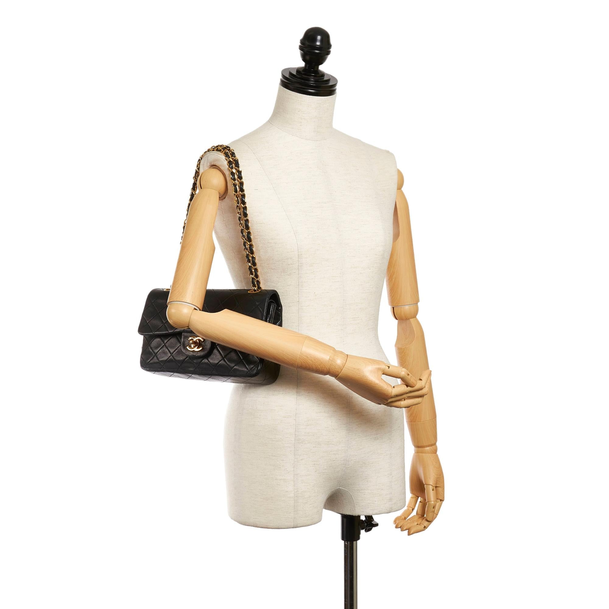 Chanel Classic Lambskin Leather Double Flap Bag (SHG-31300)