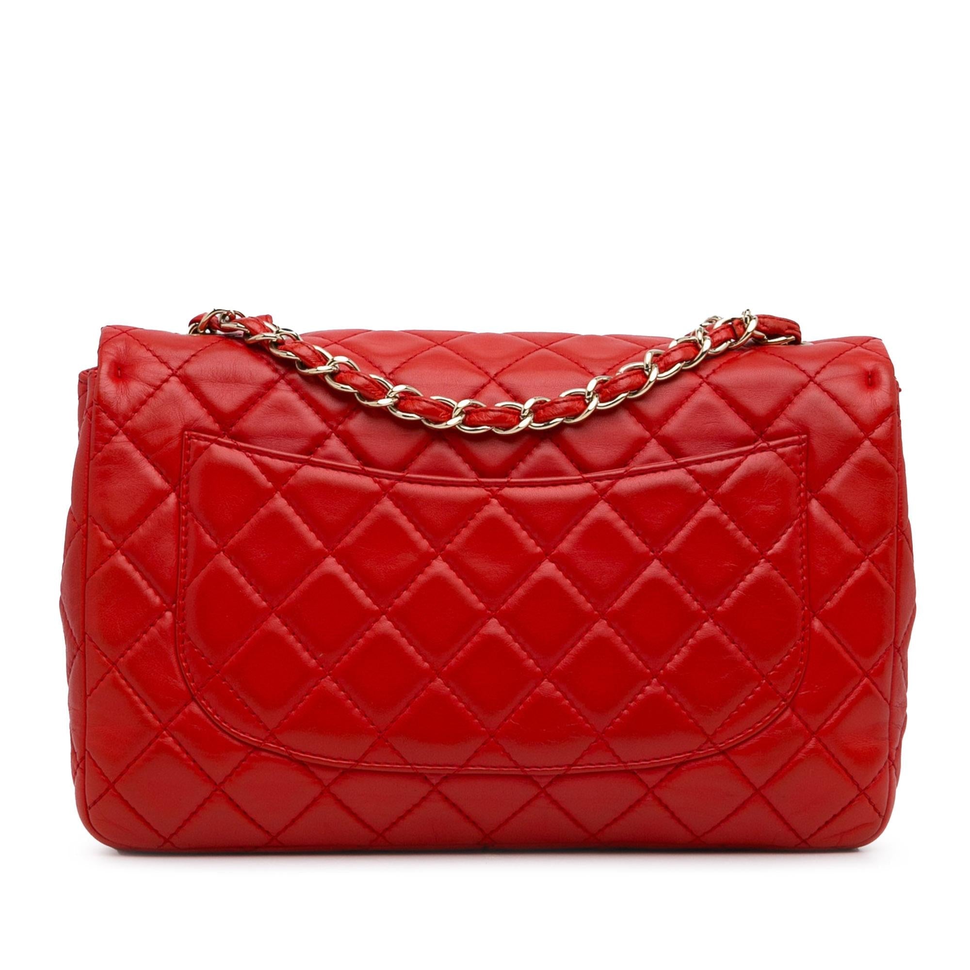 Chanel Jumbo Classic Lambskin Single Flap (SHG-4gCZeR)