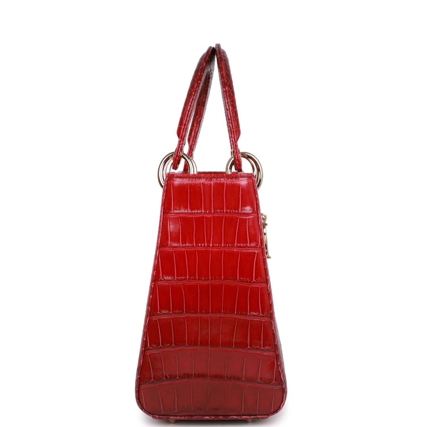 Christian Dior MeDior GraDiored Matte Alligator Light Gold Hardware