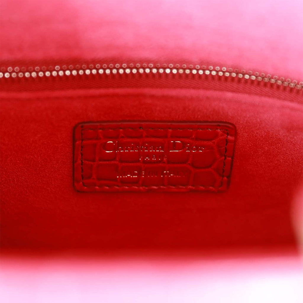 Christian Dior MeDior GraDiored Matte Alligator Light Gold Hardware