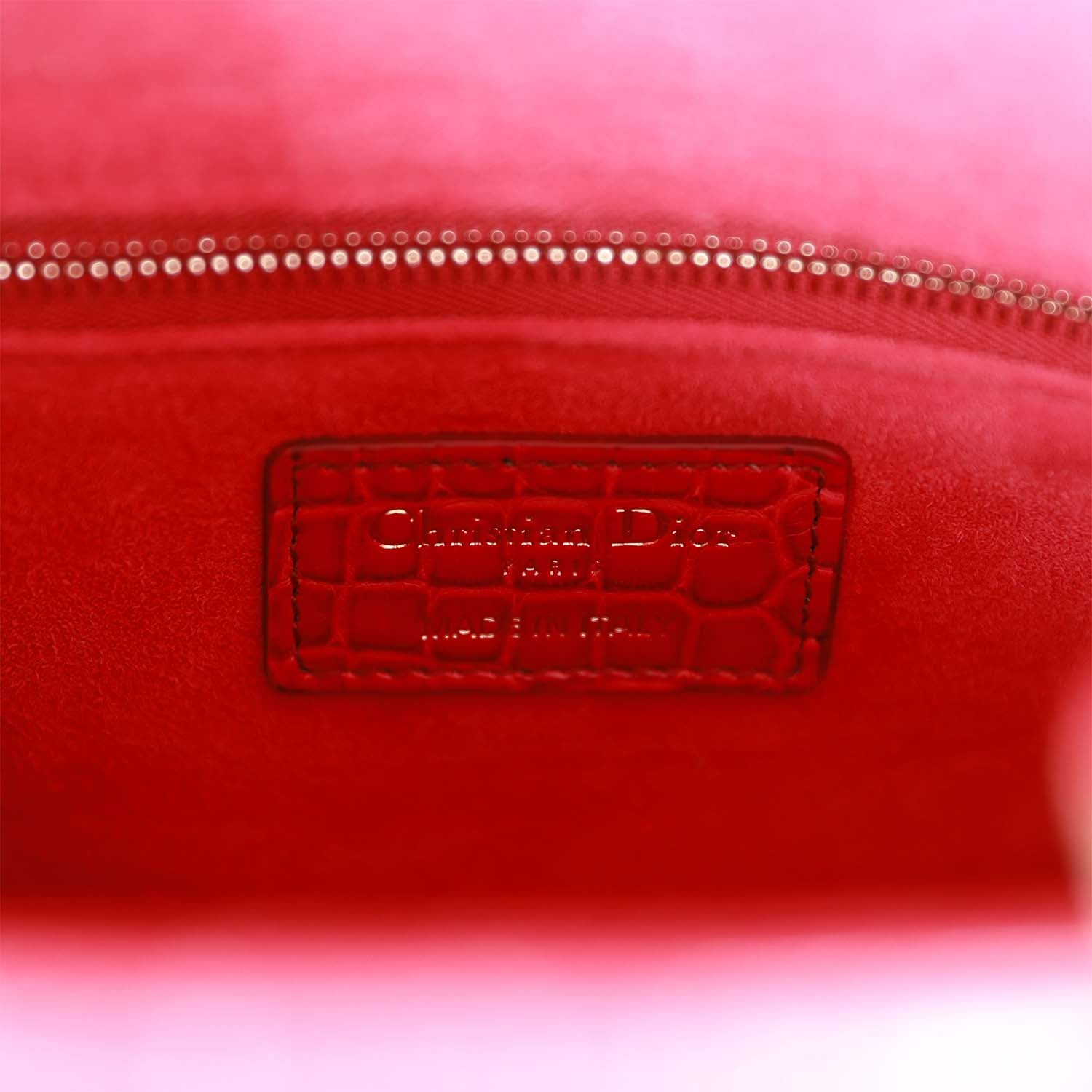 Christian Dior MeDior GraDiored Matte Alligator Light Gold Hardware