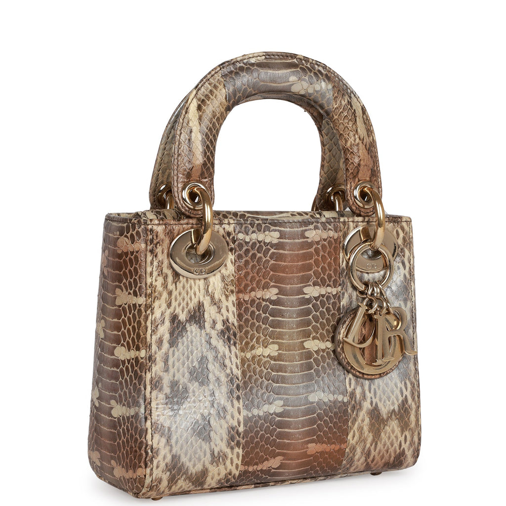 Pre-owned Christian Dior Mini Lady Dior Tote Python Gold Hardware