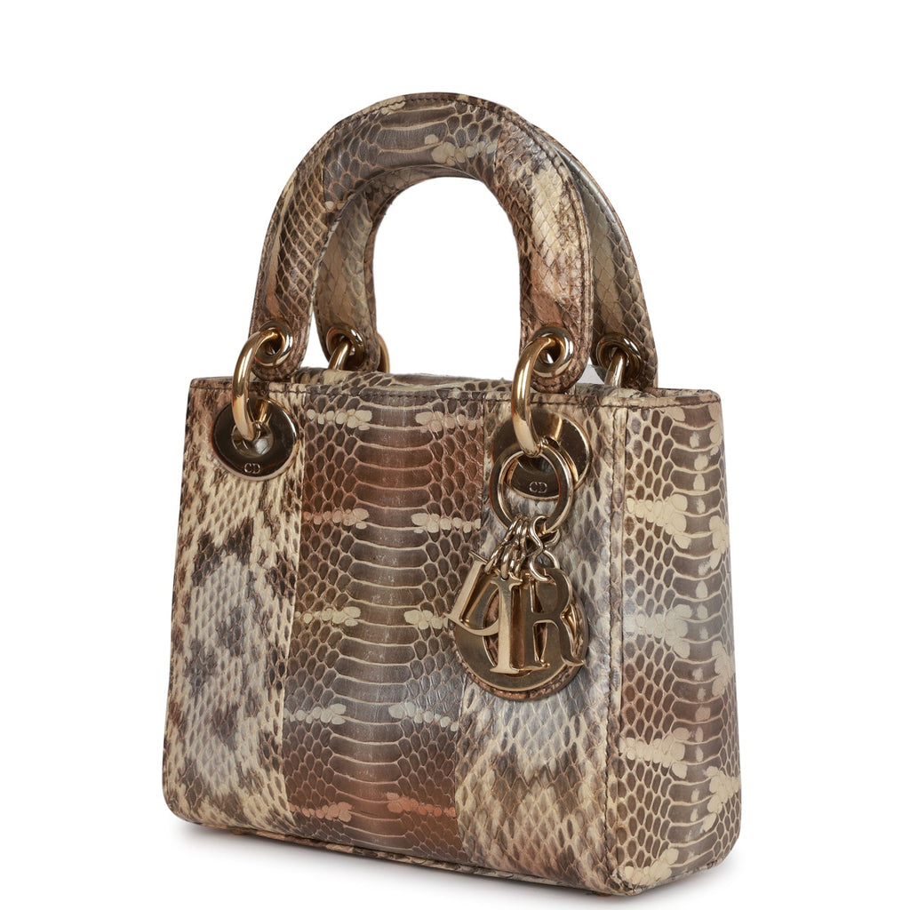 Pre-owned Christian Dior Mini Lady Dior Tote Python Gold Hardware