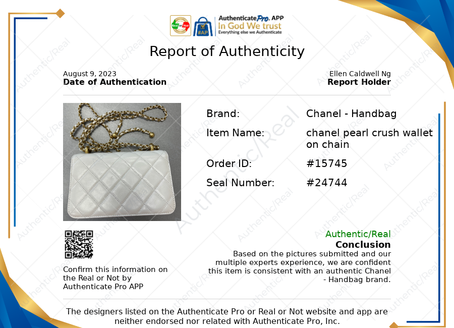 Handbag By Chanel  Size: Small