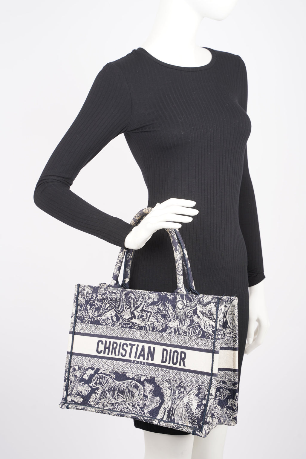 Christian Dior Womens Book Tote Blue Toile de Jouy Reverse Embroidery Medium