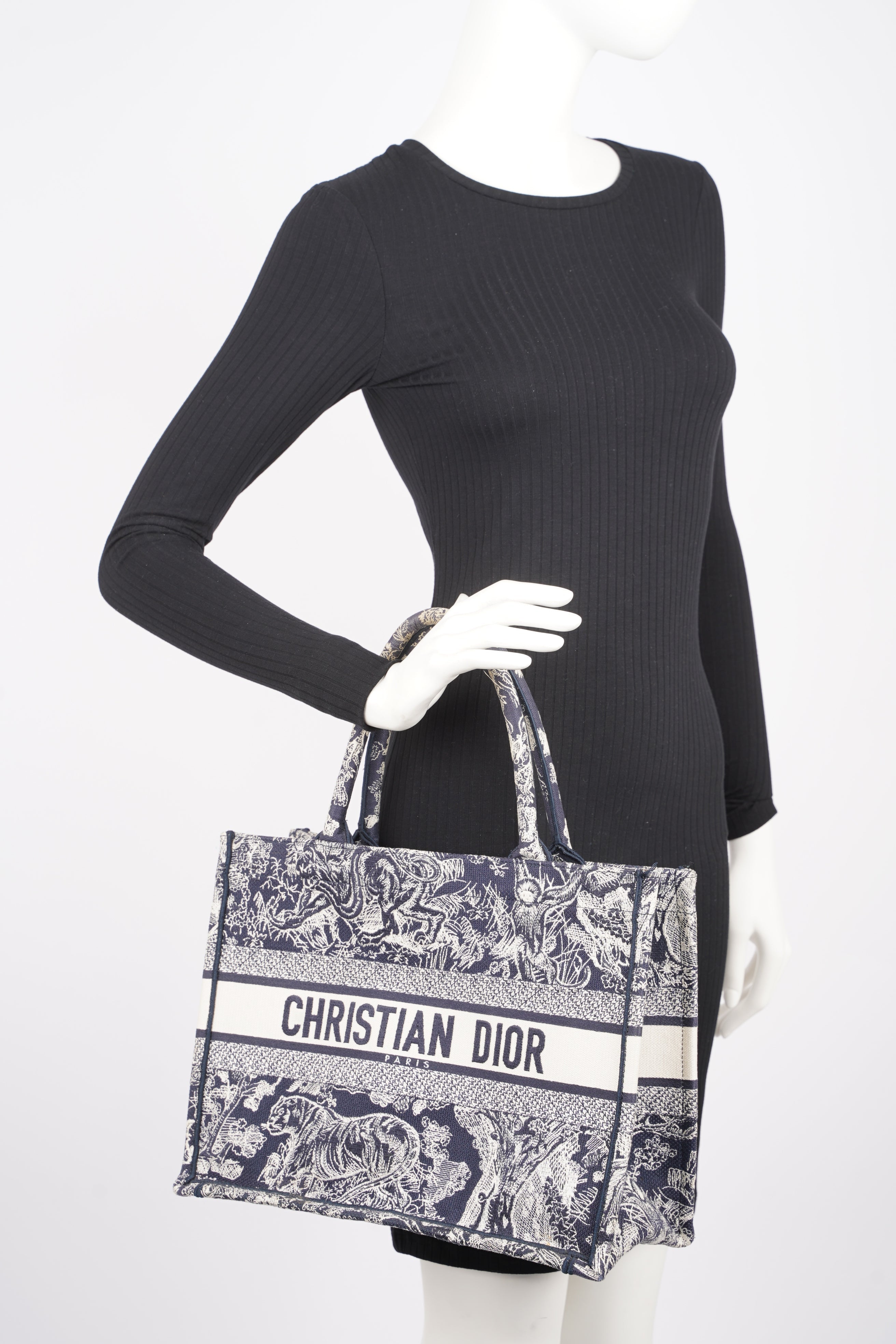 Christian Dior Womens Book Tote Blue Toile de Jouy Reverse Embroidery Medium