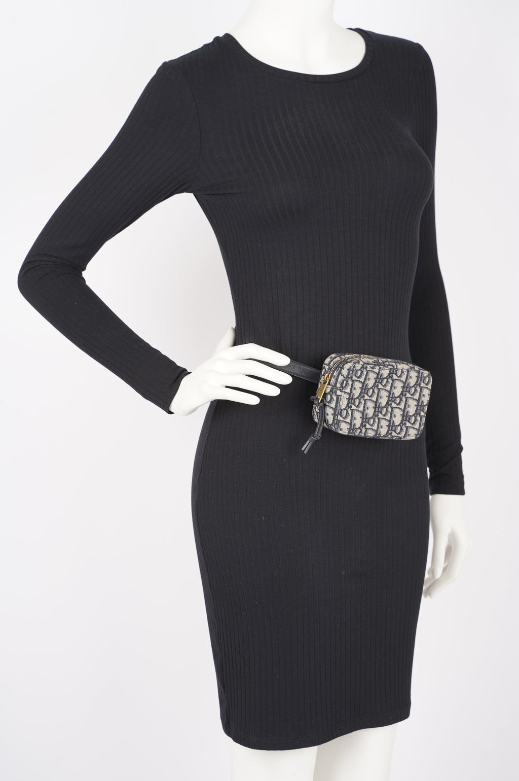 Christian Dior Womens Oblique Belt Pouch Blue / White Canvas