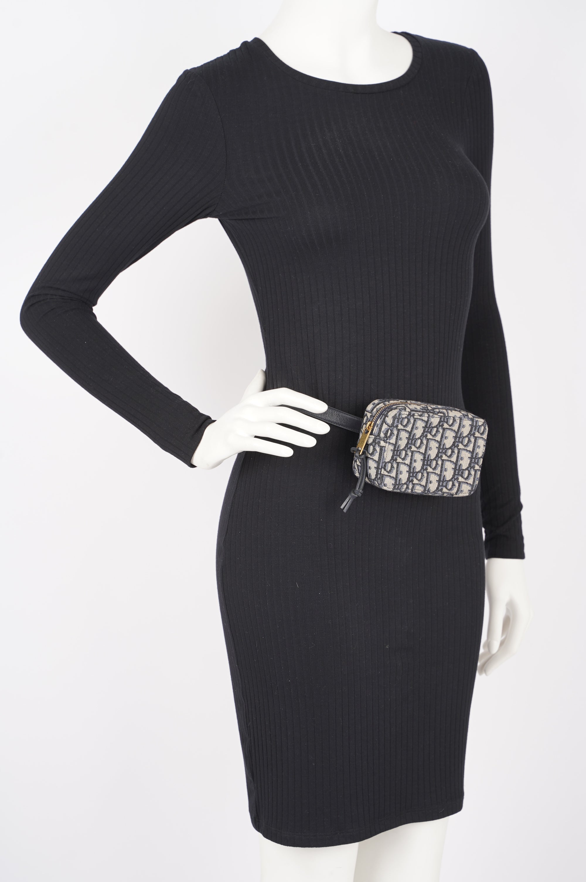 Christian Dior Womens Oblique Belt Pouch Blue / White Canvas