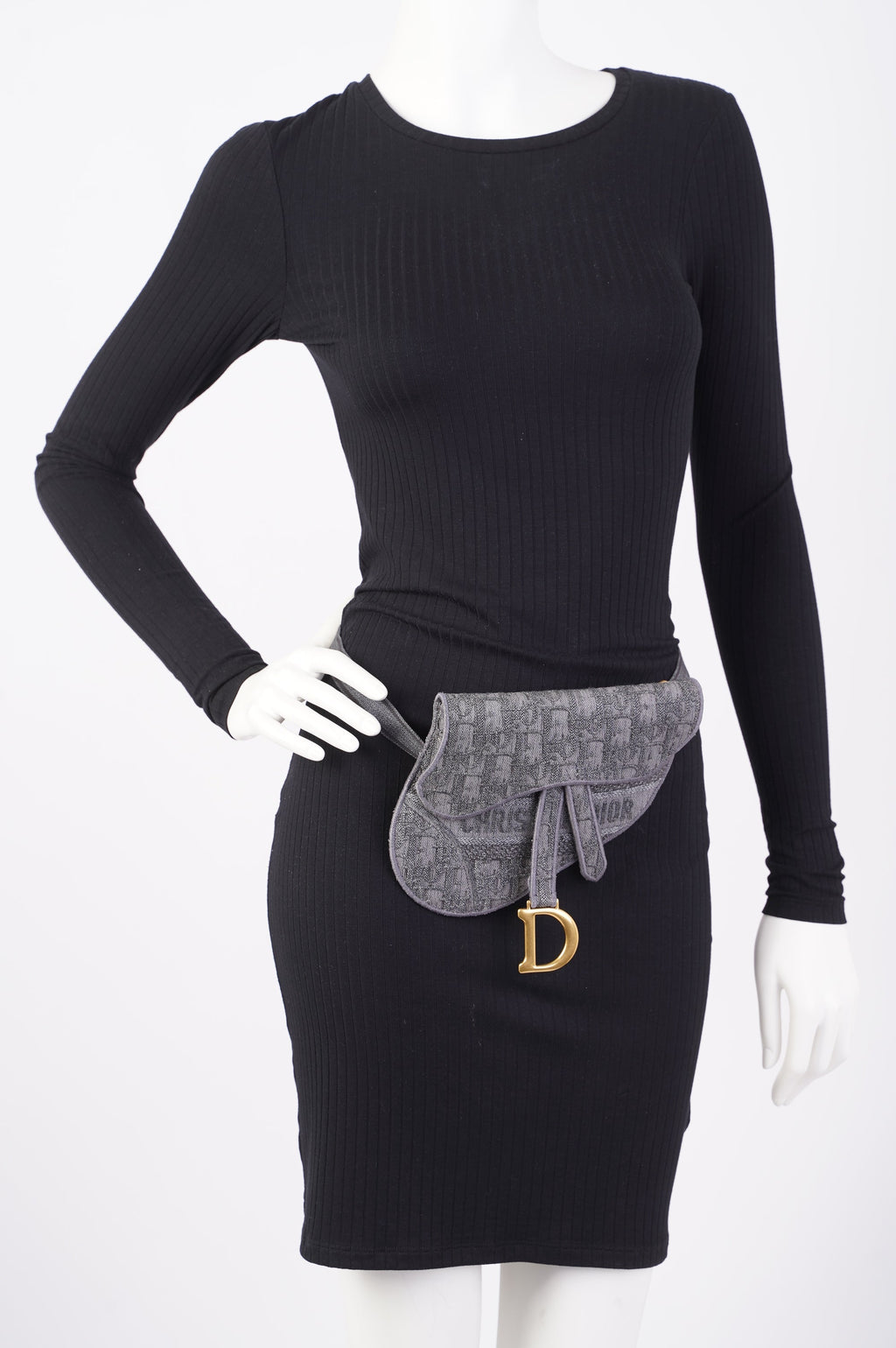 Christian Dior Saddle Dior Belt Bag Oblique Canvas Small