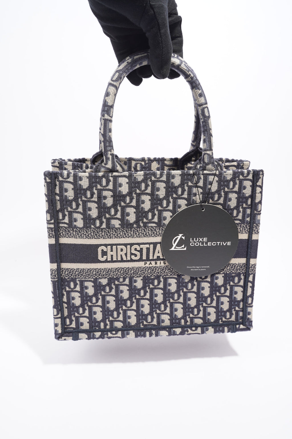 Christian Dior Book Tote Oblique Small