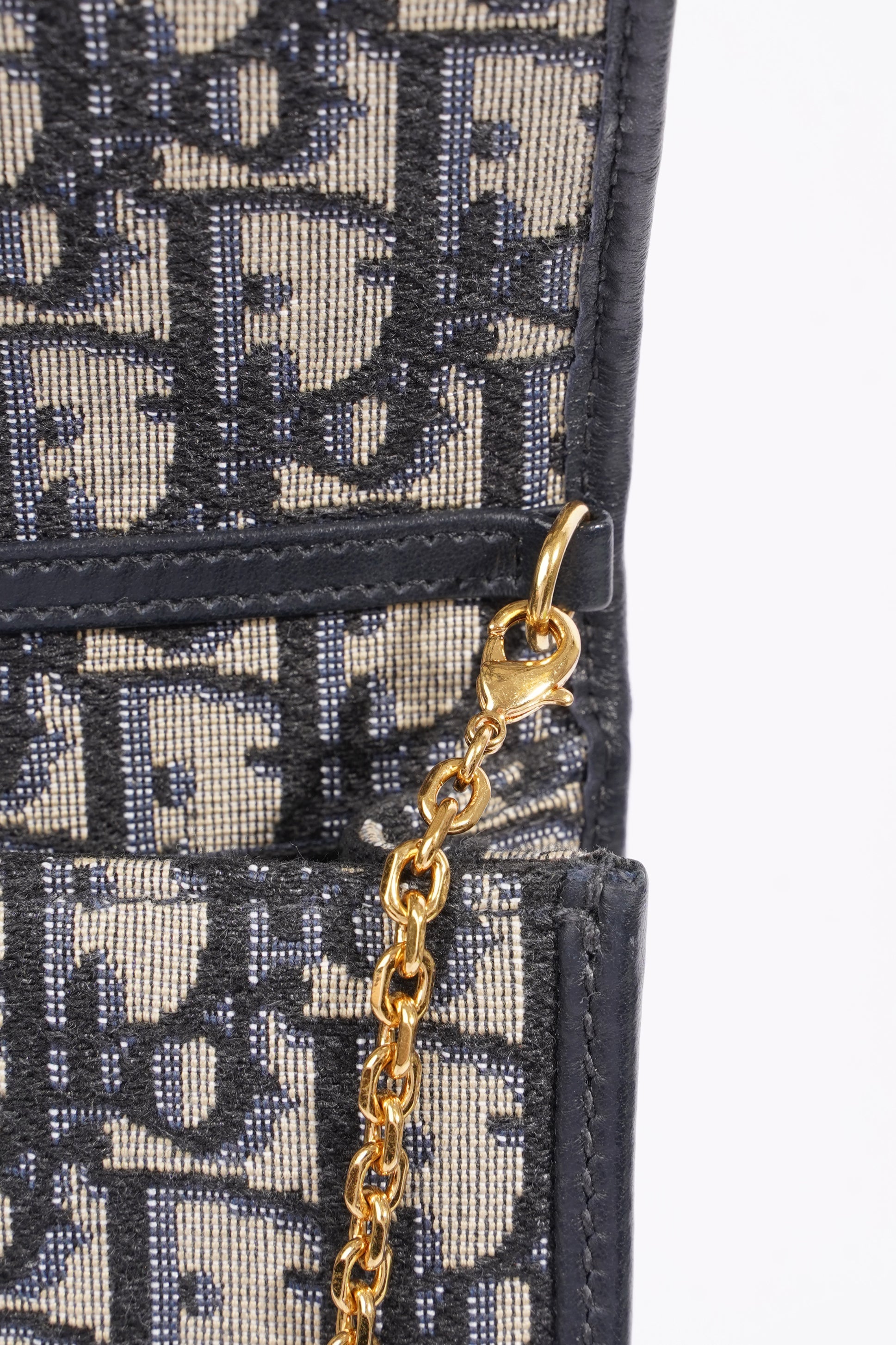 Christian Dior 30 Montaigne Pouch Oblique Nano