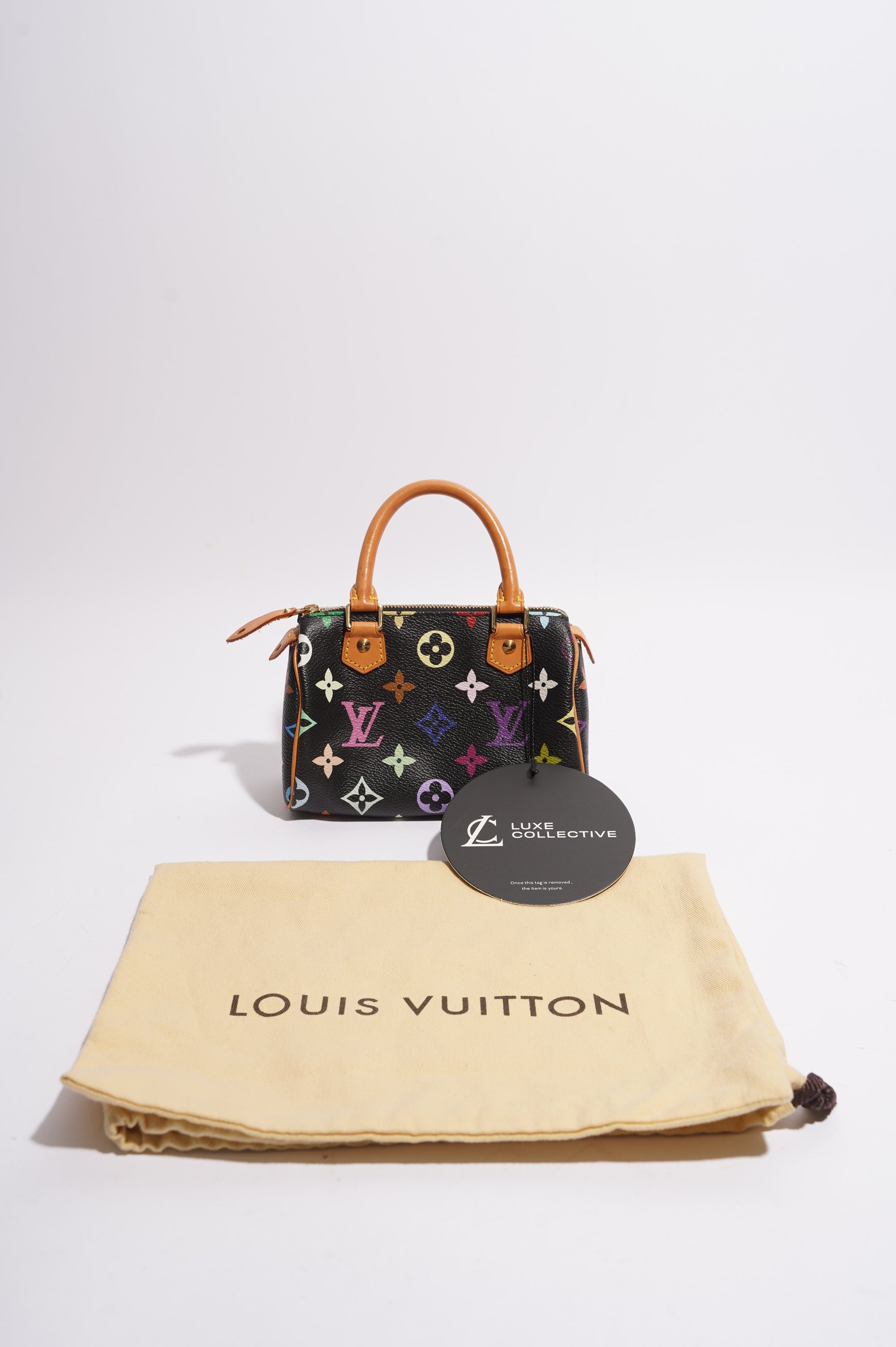 Louis Vuitton Womens Speedy Handbag Murakami Monogram Canvas Nano