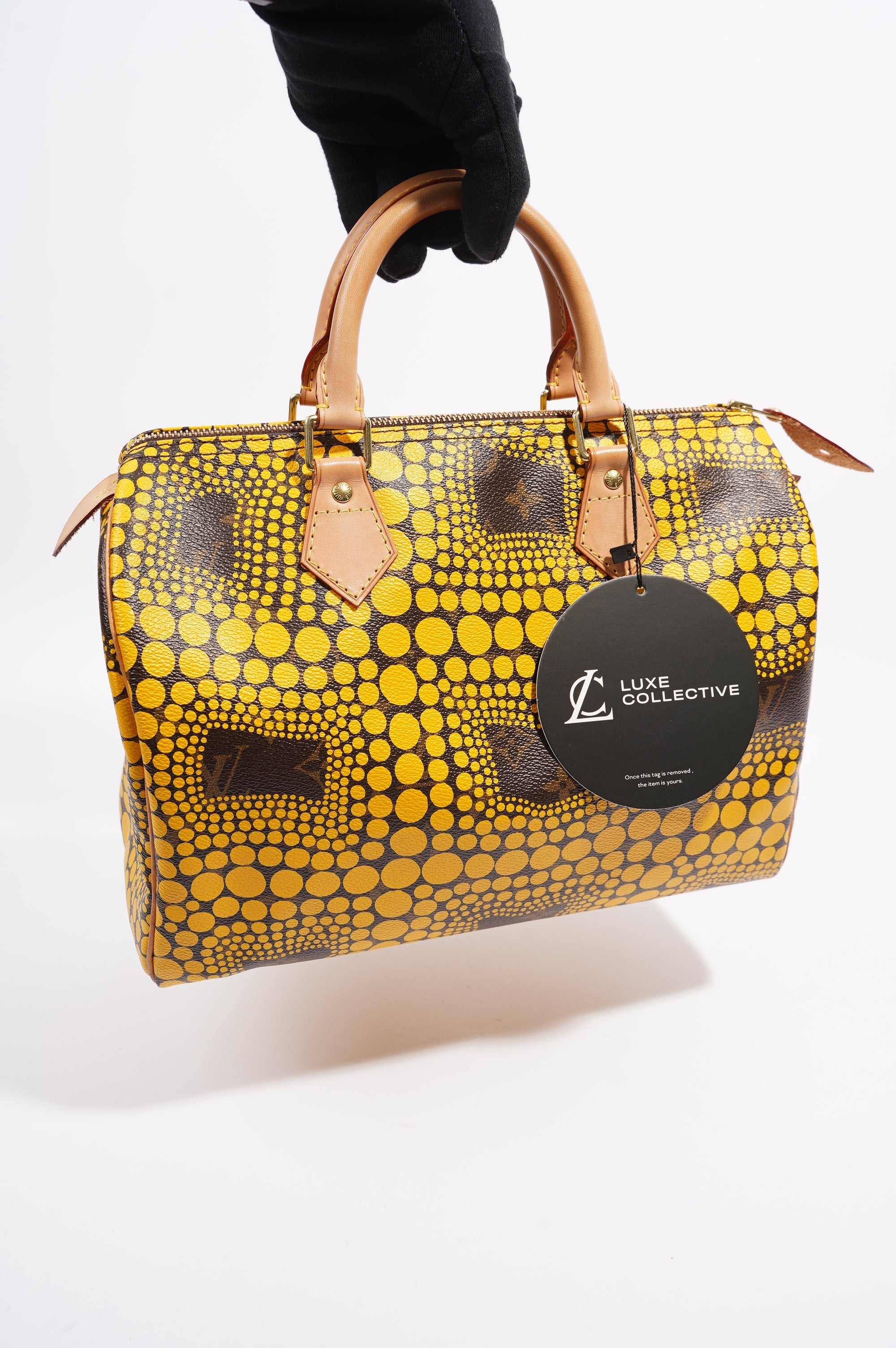 Louis Vuitton Yayoi Kusama Speedy Kusama Print Canvas