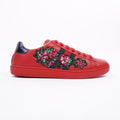 Gucci Ace Low Red / Blue Tab EU 36 / UK 3