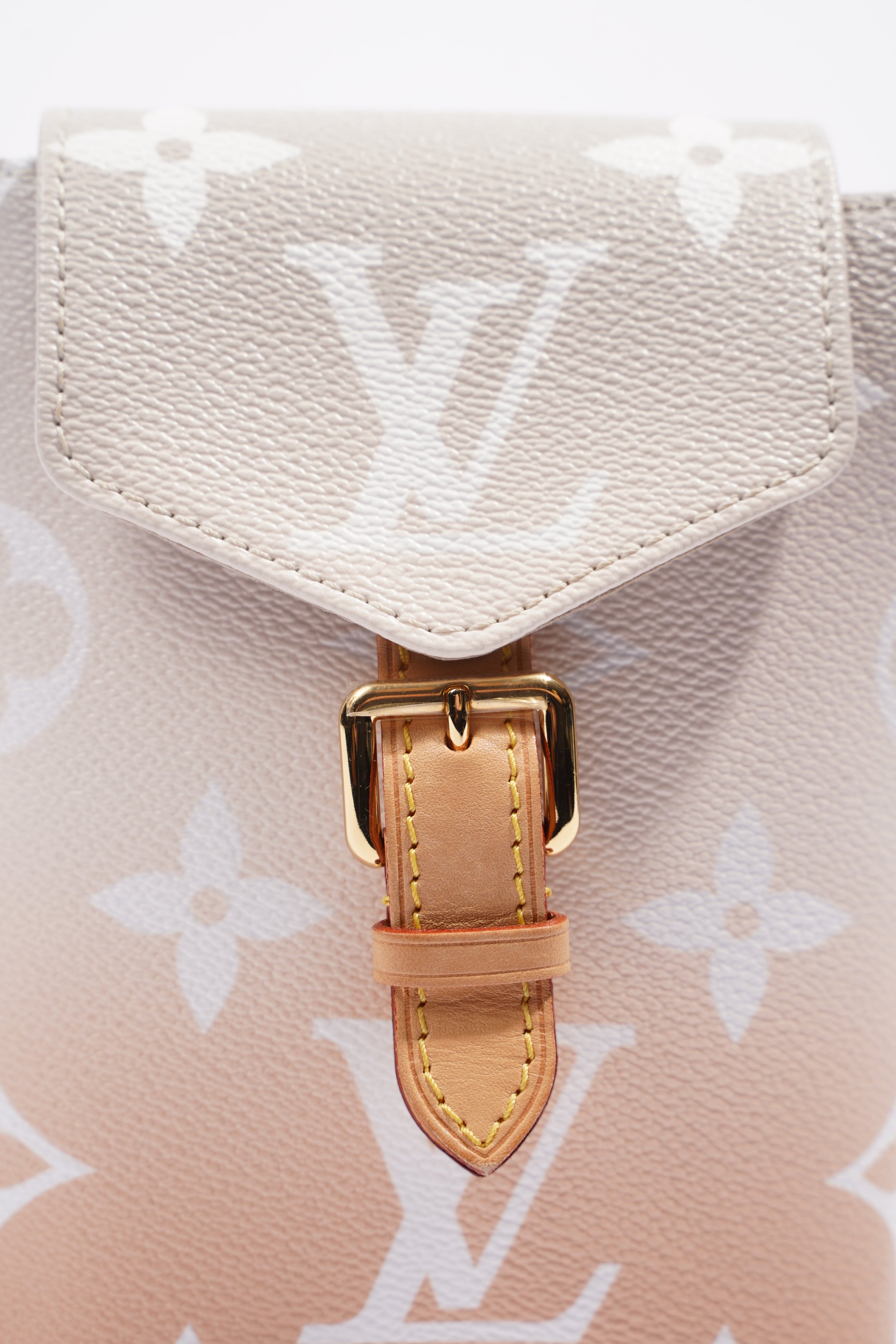 Louis Vuitton Womens Tiny Backpack By The Pool
