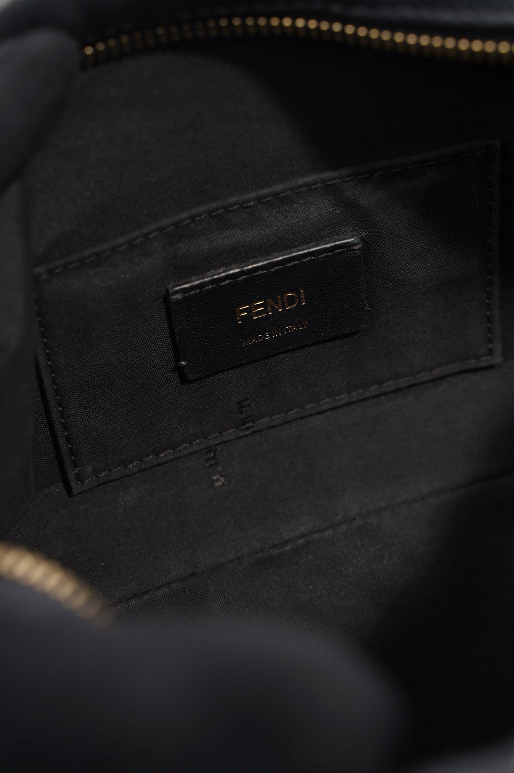 Fendi Camera Case Monogram Leather / Canvas