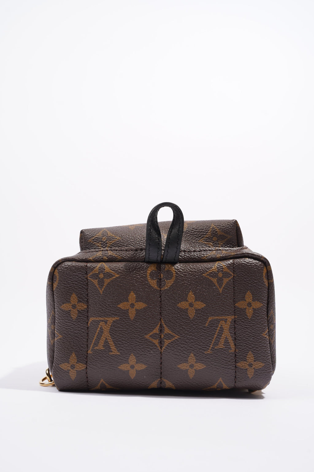 Louis Vuitton Womens Palm Springs Monogram Mini
