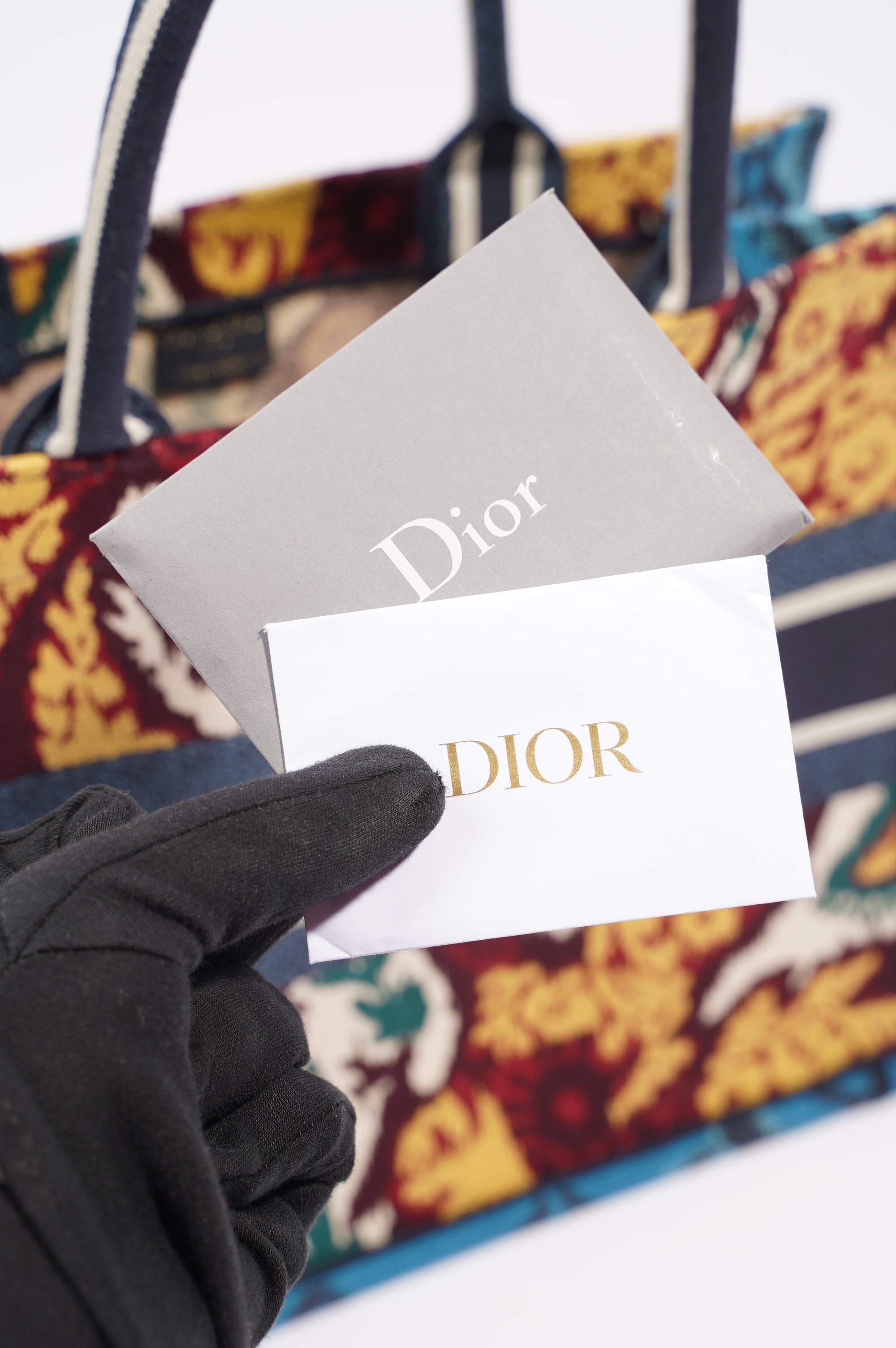 Christian Dior Womens Book Tote Blue / Multi Medium
