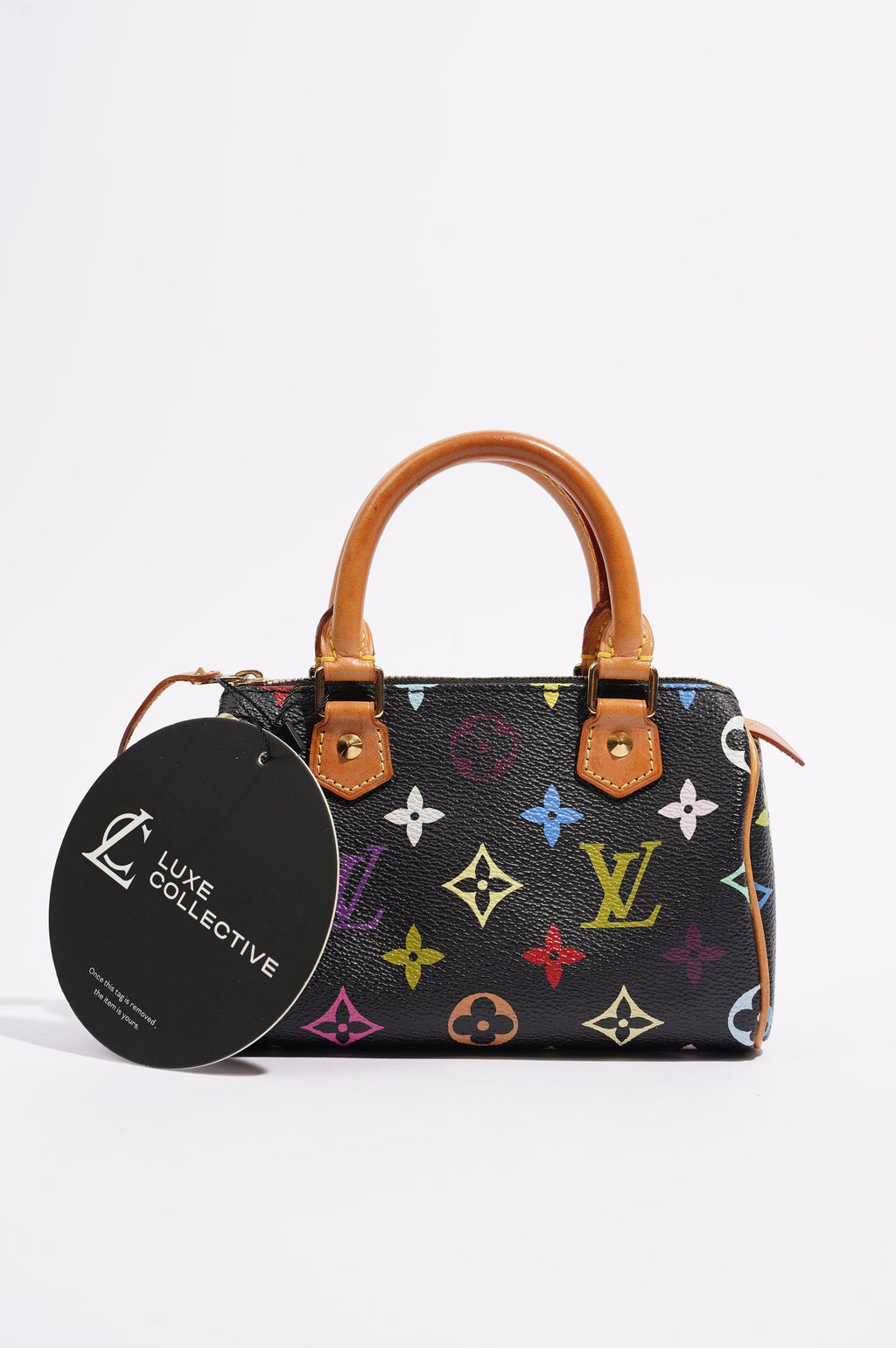 Louis Vuitton Womens Speedy Handbag Murakami Monogram Canvas Nano