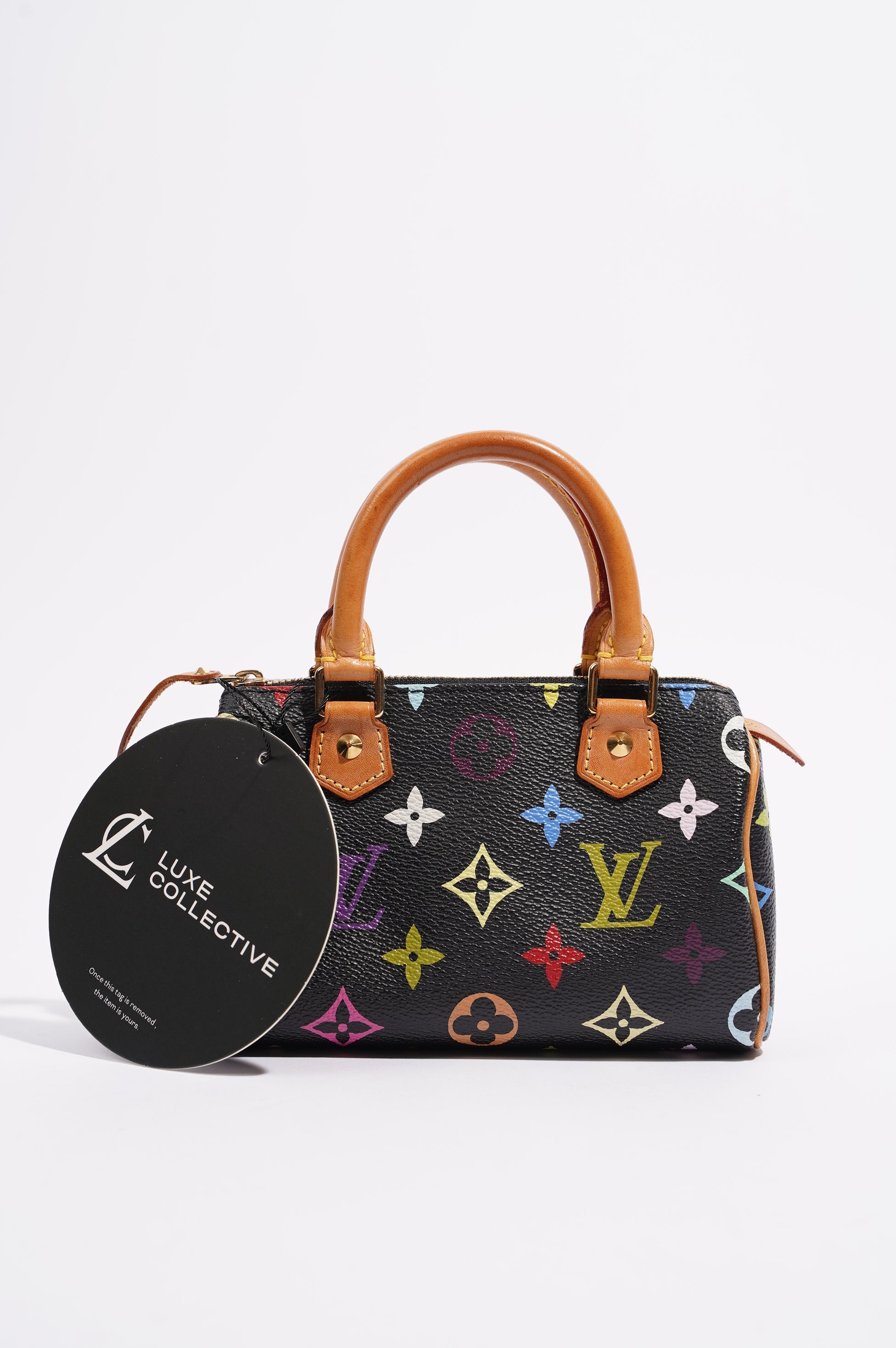 Louis Vuitton Womens Speedy Handbag Murakami Monogram Canvas Nano