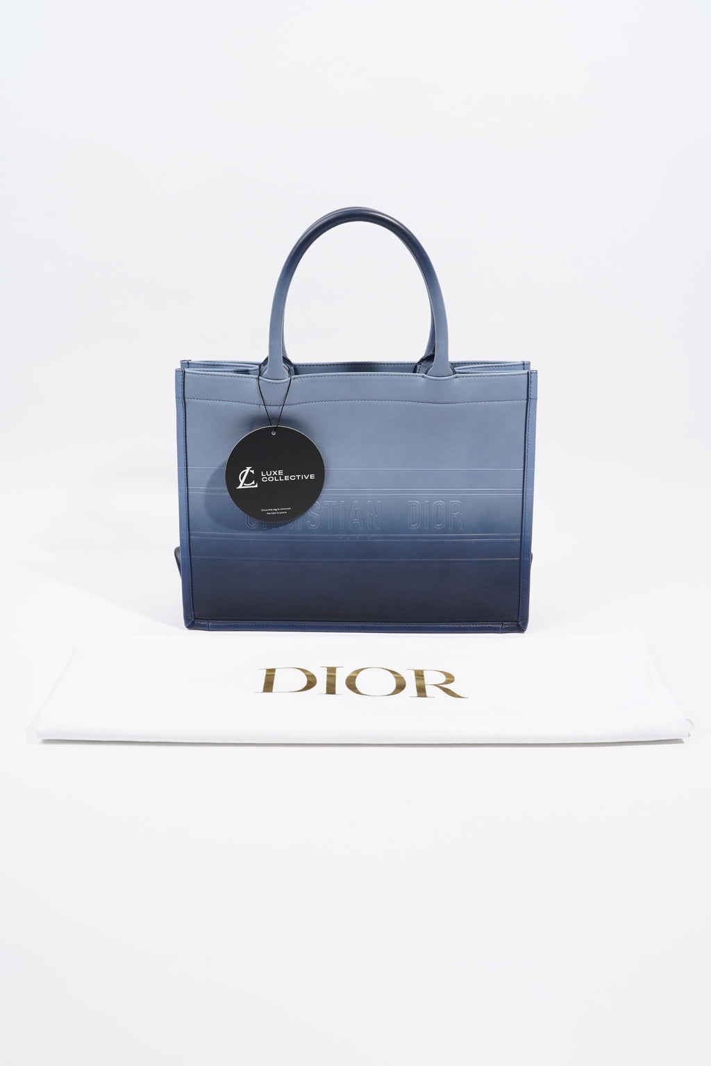 Christian Dior Book Tote Ombre Blue Leather Blue Leather Medium