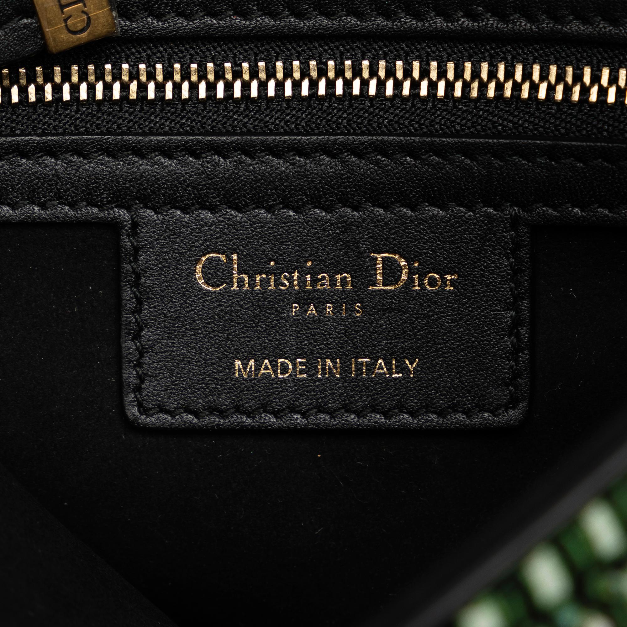 Dior Animals Beaded Saddle (SHG-oOS8KU)
