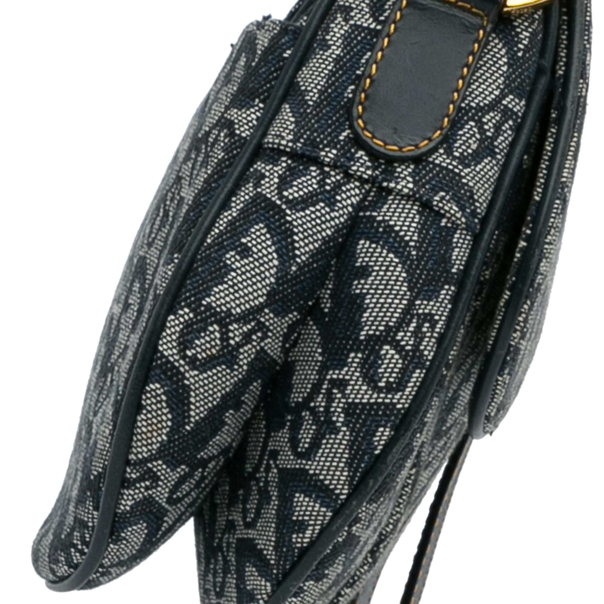 Dior Dior Oblique Double Saddle (SHG-Z60Djh)