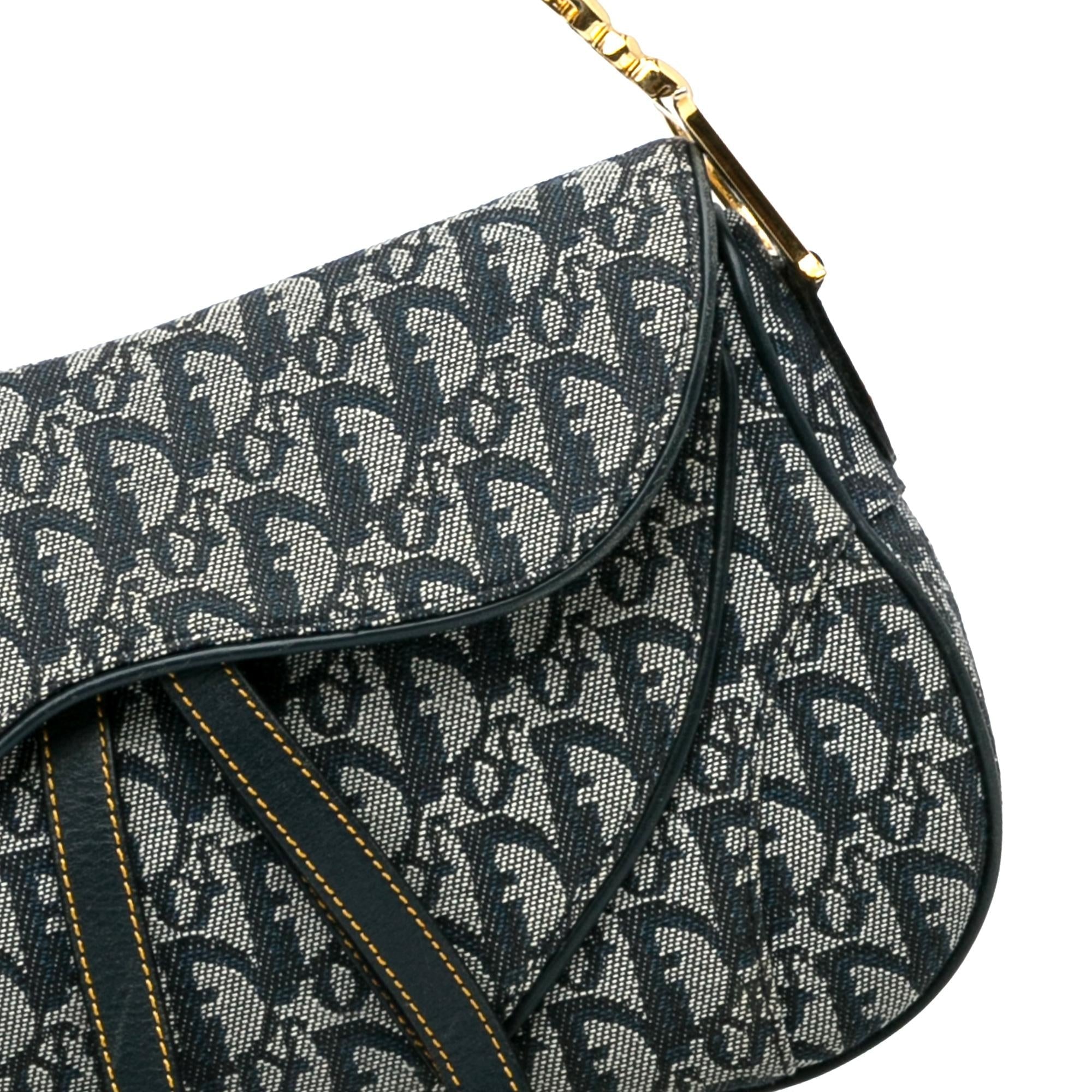 Dior Dior Oblique Double Saddle (SHG-Z60Djh)