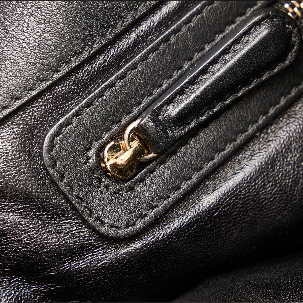 Dior Diorling Leather Shoulder Bag (SHG-33284)