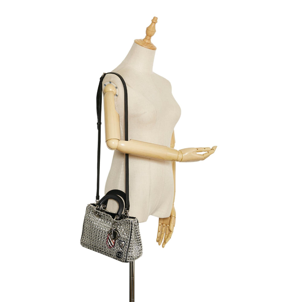 Dior Lady Dior Satchel (SHG-xfc2Ns)