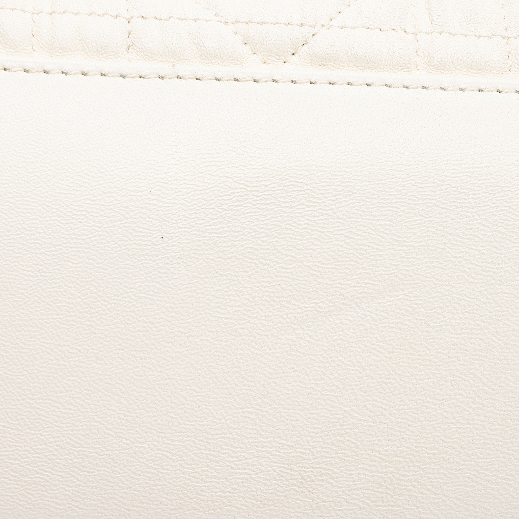 Dior Lambskin Delices Tote (SHF-7ybjFN)