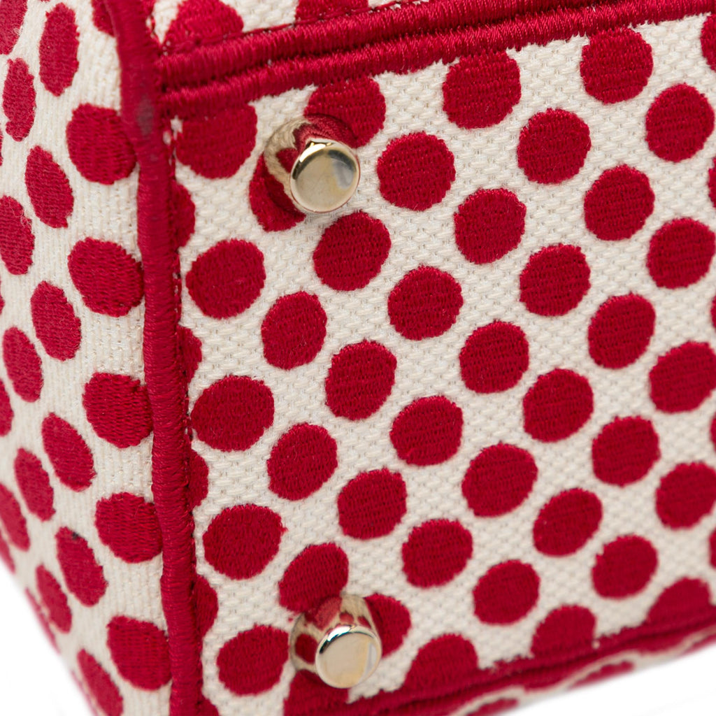 Dior Medium DiorAmour Dots Lady D Lite (SHG-ucNAyu)