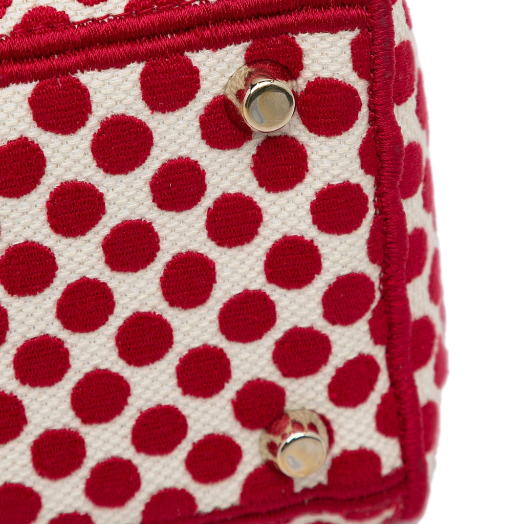 Dior Medium DiorAmour Dots Lady D Lite (SHG-ucNAyu)