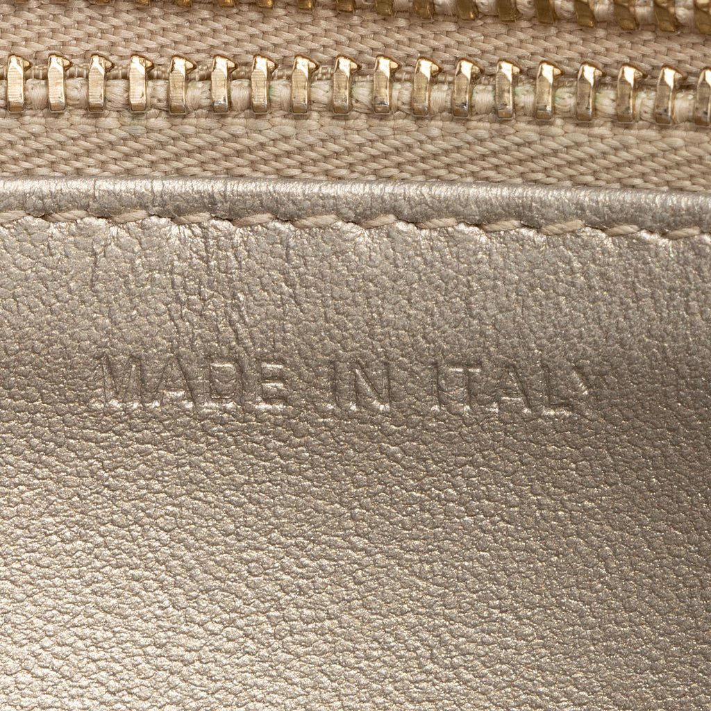 Dior Metallic Calfskin Diorama Wallet on Chain Bag (SHF-rpZnj7)